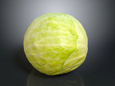 Fresh Green Round Cabbage Healthy Vegetable With Vibrant Color And Texture 3d model