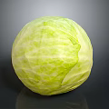 Fresh Green Round Cabbage Healthy Vegetable With Vibrant Color And Texture