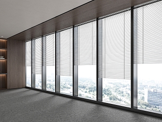 Office Curtain Wall Window Blinds 3d model