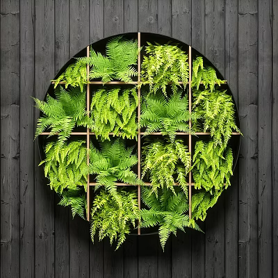 Living Plant Wall with Circular Wooden Grid Frame and Lush Ferns Against Dark Wooden Background 3d model