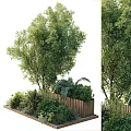 Lush Green Plants Trees Shrubs And Ferns With Wooden Fence In Garden Landscaping