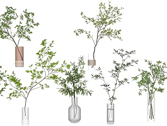 Modern Vase Hydroponic Plant Glass Vase Green Plant Indoor Plant Decoration 3d model
