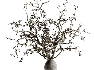 Artistic Bonsai Plant With Twisted Branches Small Leaves In Gray Ceramic Pot 3d model