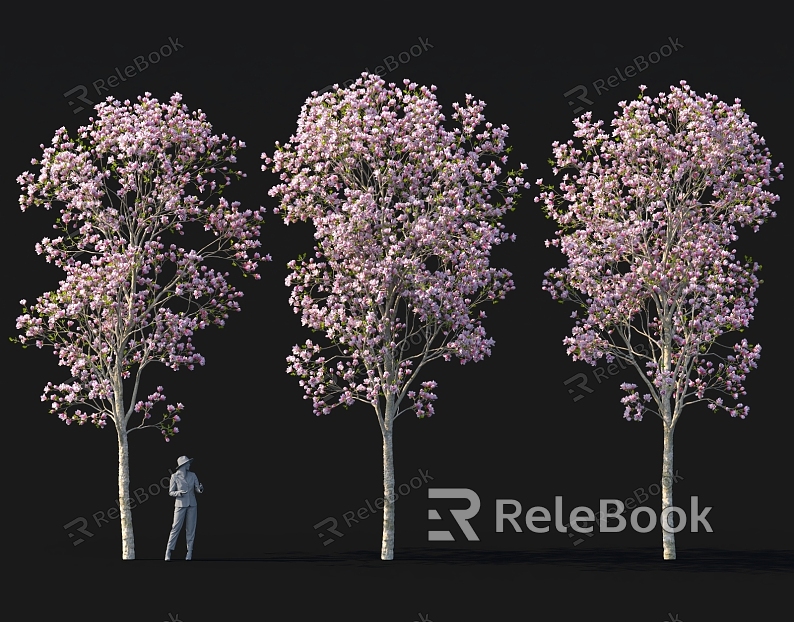 Magnolia tree flower bed tree pond street tree landscape green plants model