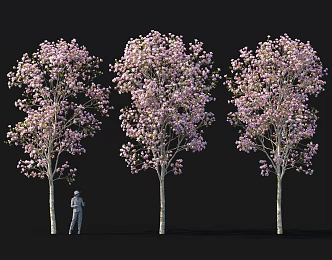 Magnolia tree flower bed tree pond street tree landscape green plants 3d model