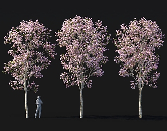 Magnolia tree flower bed tree pond street tree landscape green plants 3d model