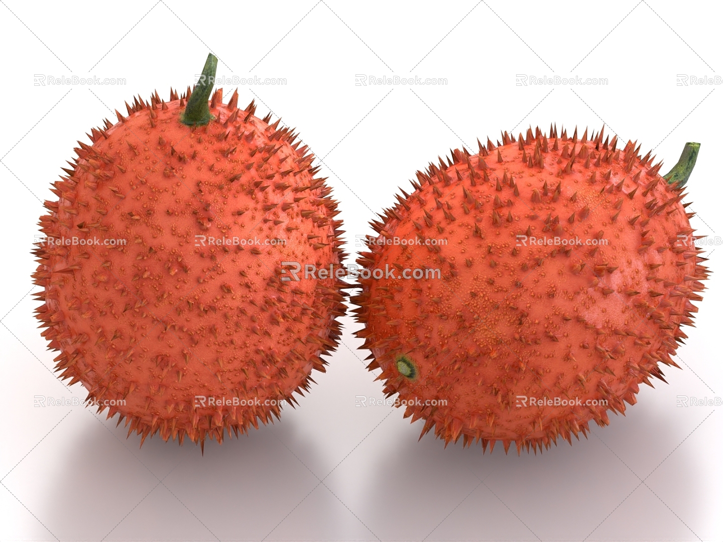 Momordica fruit food 3d model