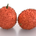 Momordica fruit food 3d model