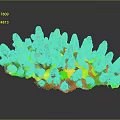 Vibrant Coral Polyps Displaying Colorful Branching Structures With Iridescent Blue Green Tones