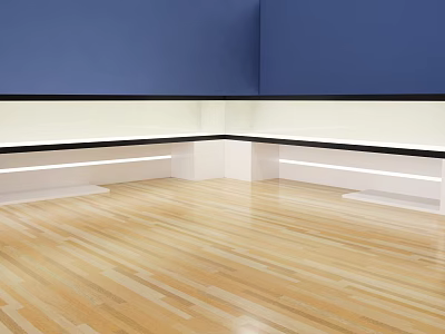 Modern Display Cabinet Simple Display Cabinet 3d model