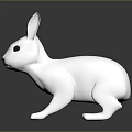White Rabbit Figurine With Long Ears Black Eyes On Dark Reflective Surface
