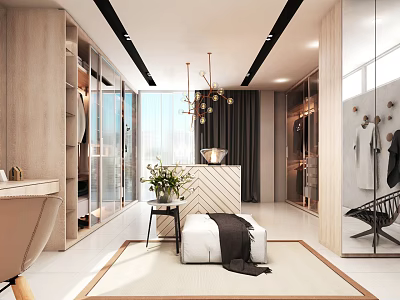 Modern Walk In Closet Interior With Open Wardrobe Chandelier Bench And Potted Plant 3d model