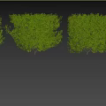 Decorative Green Plant Ornament Set With Trimmed Shrub Design For Garden Decor