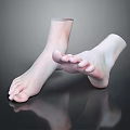 Man Feet 3D Rendered Anatomical Model With Realistic Toes And Skin Texture