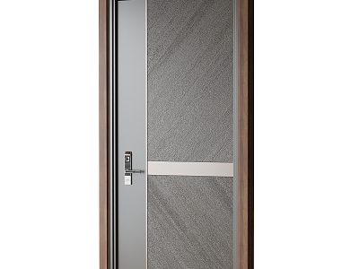 Modern entry door security door model