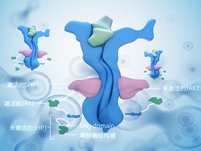 modern nerve 3d model