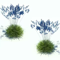 Two Clumps Of Green Grass With Blue Flowering Plants Showcasing Natural Freshness And Vibrant Charm
