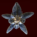 Delicate Blue Flower with Golden Veins on Petals Against Dark Red Background