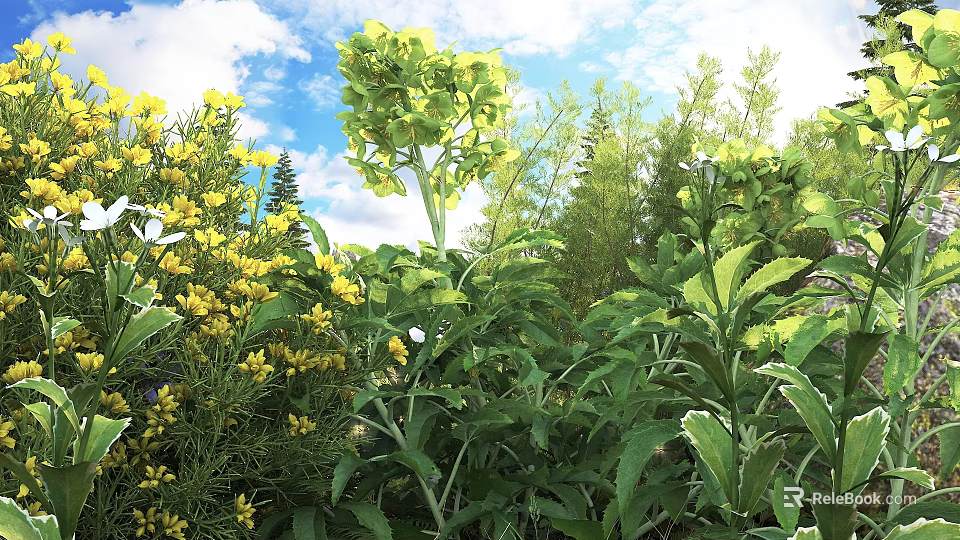 Beautiful Garden Flowers And Plants With Yellow Blooms Green Leaves Under Blue Sky 3d model 