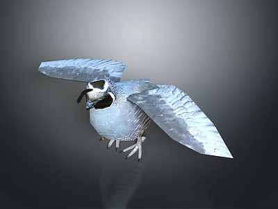 Flying Animal Bird With Spread Wings Blue Feathers And Black White Head 3d model