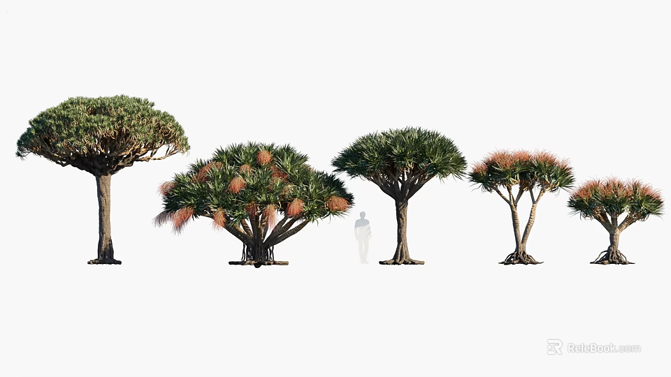 Diverse Arbor Trees With Various Canopy Shapes Foliage Features and Branch Structures 3d model