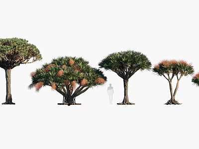 Diverse Arbor Trees With Various Canopy Shapes Foliage Features and Branch Structures 3d model