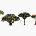 Diverse Arbor Trees With Various Canopy Shapes Foliage Features and Branch Structures 3d model