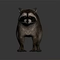 Realistic Brown Raccoon With Striped Tail Standing On Smooth Gray Surface