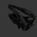 Dinosaur Skull Fossil With Detailed Skeletal Structure And Sharp Teeth On Black Background