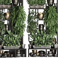 Decorative Potted Plants Display On Multi Tiered Shelves With Various Green Foliage And Clay Pots