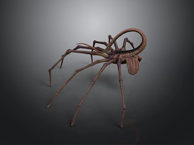 Fantasy Spider Like Creature With Long Legs And Curled Tail 3d model