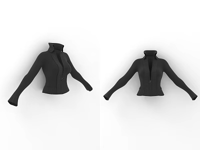 Classic Black Knitted Fitted Long Sleeved Clothes With Zipper Design 3d model