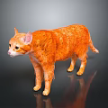 Shiny Orange Cat Standing On Smooth Black Surface With Clear Reflection And Detailed Fur