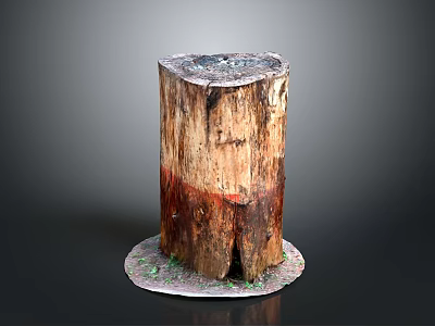 Rustic Wood Stump Decor Featuring Natural Stone Base And Textured Surface 3d model