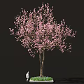 Sakura Inspired Food Display With Pink Blossom Tree And Green Grass