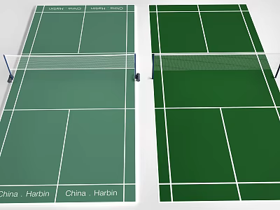Green Tennis Court With White Lines And Net In Harbin China 3d model