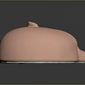 Human Head Cross Section Anatomy Displaying Internal Organs And Hair Features
