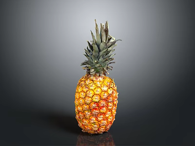 Fresh Ripe Pineapple with Green Leafy Top Orange Skin Juicy Tropical Fruit on Dark Background 3d model