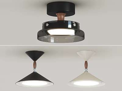 Modern Black and White Ceiling Lamps with Wooden Accents and Transparent Conical Shades 3d model