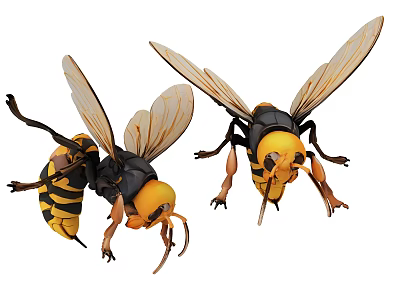 Flying Insects Two Wasps With Yellow And Black Stripes Transparent Wings And Detailed Body Structure 3d model