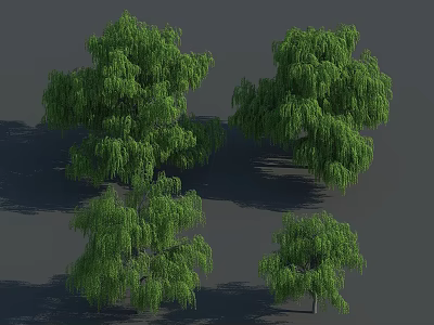 Green Willow Trees As Arbor With Drooping Branches And Lush Foliage 3d model
