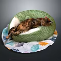 Green Snake Shaped Cat Bed With Sleeping Tabby Cat On Patterned Mat