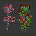 Vibrant Red Berry Plant Branches with Lush Green Leaves Decorative