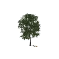 Decorative Ornament Combination with Green Tree and Yellow Maple Leaves for Home Decor