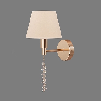 Simple Light Luxury Wall Lamp 3d model