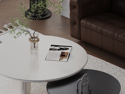 Modern coffee table model