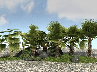 Tall Palm Trees Stand with Green Foliage Near Stones Grass on Gravel Under Blue Sky 3d model