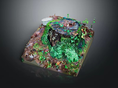 Wood and Stone Miniature Landscape With Moss Covered Stump And Small Plants 3d model