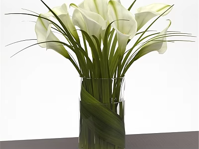 Decorative Ornament Set Clear Glass Vase With White Calla Lilies Green Leaves On Dark Table 3d model
