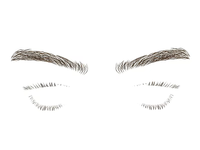 Well Shaped Eyebrows And Long Eyelashes For Natural Eye Beauty Look 3d model